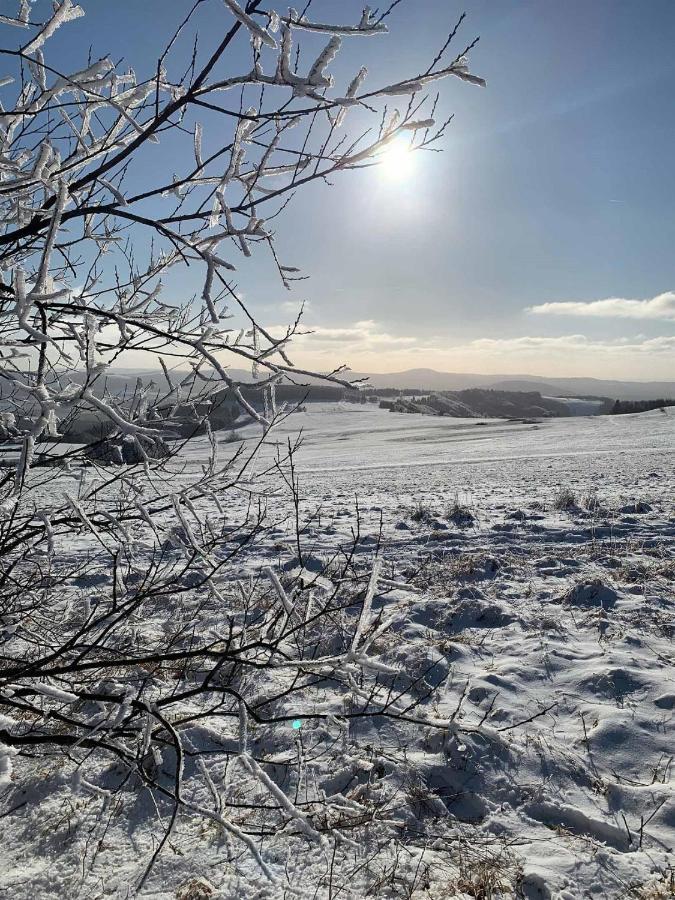 Ferienwohnung Stirnbergblick Ehrenberg  Экстерьер фото