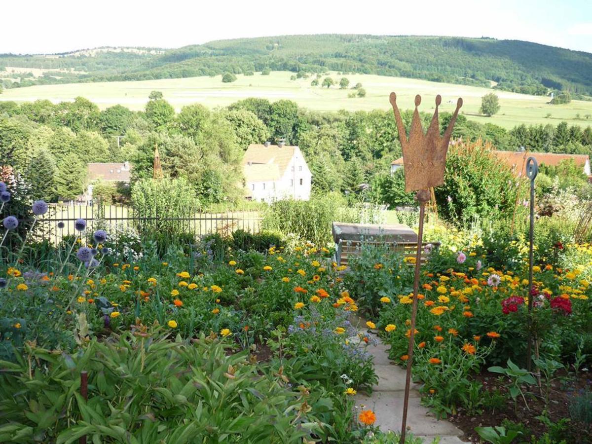 Ferienwohnung Stirnbergblick Ehrenberg  Экстерьер фото